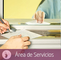 Area de Servicios