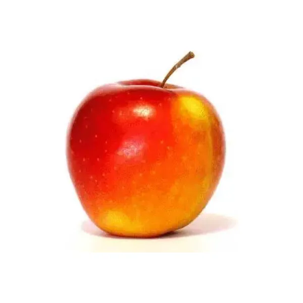 Chaleco térmico
